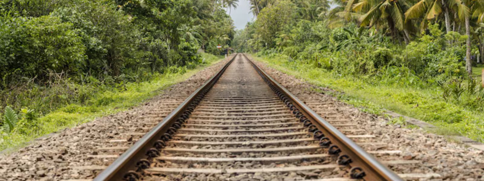 10,000 New Rails To Revamp SL Railway Network